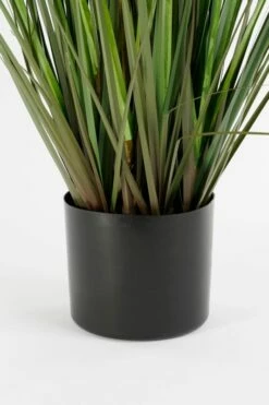 Herbe De La Pampa Plante Artificielle 9 Herbe De La Pampa Plante Artificielle -Home24 Soldes 286e53f88d3145579b7517225464d674