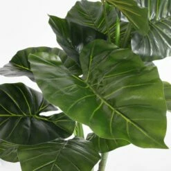Plante Artificielle Taro -Home24 Soldes 2a537e8897044aaabf141e7d1324211b