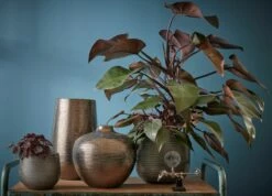 Vase Gabriel -Home24 Soldes 2ce65259648947f3a9a01c19594b7138