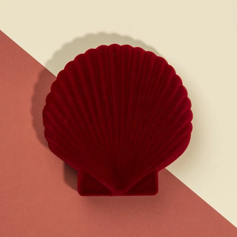 Doiy Boite à Bijoux Coquillage 4 Doiy Boite à Bijoux Coquillage – Image 2