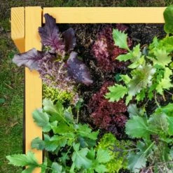 Carré Potager Sur Pied En Bois -Home24 Soldes 35131d701f824ec5a3e95a9993a1b507