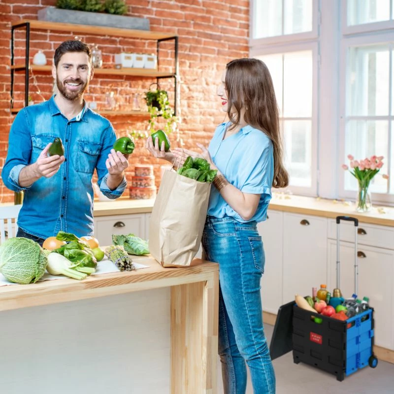 Chariot De Courses Pliable 4 Chariot De Courses Pliable – Image 2