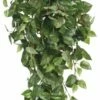 Plante Artificielle Suspendue Scindapsus 2 Plante Artificielle Suspendue Scindapsus -Home24 Soldes 48552f8e8019477cb715174ca442164c.cropped 467 3 673 1703.processed