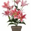 Plante Artificielle Tigerlilien -Home24 Soldes 4e7f4be625304726a673d9956e7a431e.cropped 567 410 1721 2497.processed