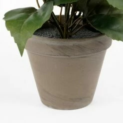 Plante Artificielle Hibiskus 9 Plante Artificielle Hibiskus -Home24 Soldes 4fefc3ab979a4704a12264382a88545f