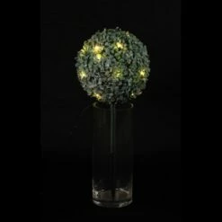 Petite Boule De Buis Effet Givré 8 Petite Boule De Buis Effet Givré -Home24 Soldes 5184308cb6ef4990a5d6f95b9d5ecd64