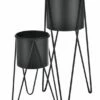 Set De 2 Supports De Plantes Hedera -Home24 Soldes 5a7ad876025c4df88ab9b1a94b94433c.cropped 242 8 1464 1990.processed