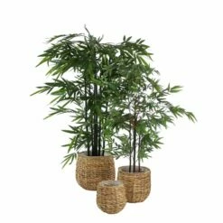 Plante Artificielle Bambou -Home24 Soldes 5e283ad21e764955a6cf63614b9045bf