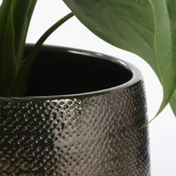 Pot De Fleurs Gabriel -Home24 Soldes 611faf6bba1744858e0fa3da51d0173d