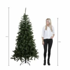 Sapin De Noël Bristlecone 9 Sapin De Noël Bristlecone -Home24 Soldes 619ead8cc43a40ba8a7784600d3d5ee6 1