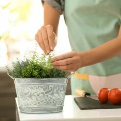 Jardinière En Zinc En Lot De 3 11 Jardinière En Zinc En Lot De 3 -Home24 Soldes 704de5dd09214dee887b87a5ba0f35a6