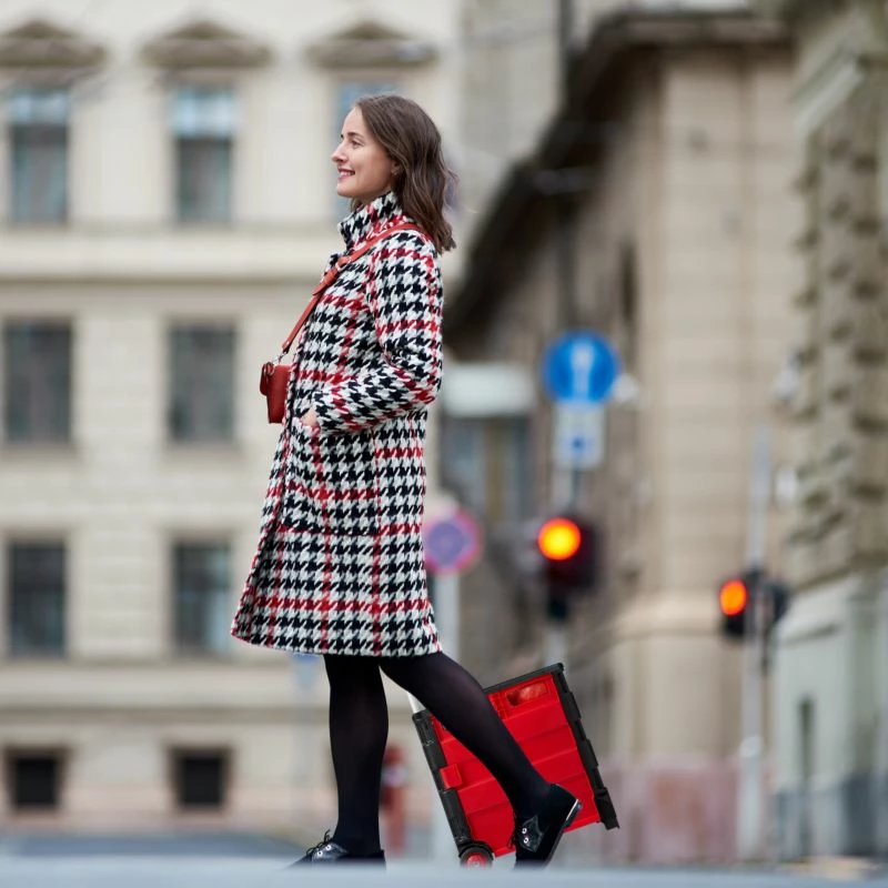 Chariot De Courses Pliable 13 Chariot De Courses Pliable – Image 11