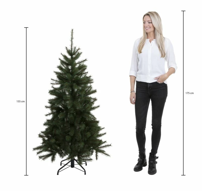 Sapin De Noël Tuscan 6 Sapin De Noël Tuscan – Image 4