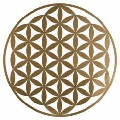 Décoration Murale Ronde 10 Décoration Murale Ronde -Home24 Soldes 8cebc91cf8f4486a8cc263488efce3cf.cropped 32 32 836 837.processed