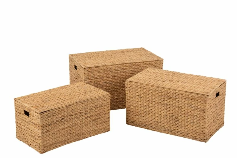 Set De 3 Paniers Rectangulaire Jacynthe 3 Set De 3 Paniers Rectangulaire Jacynthe