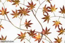 Sculpture Murale Métal Arbre à Vœux -Home24 Soldes 94f475e41cc240b39861eb76ae1b5b17