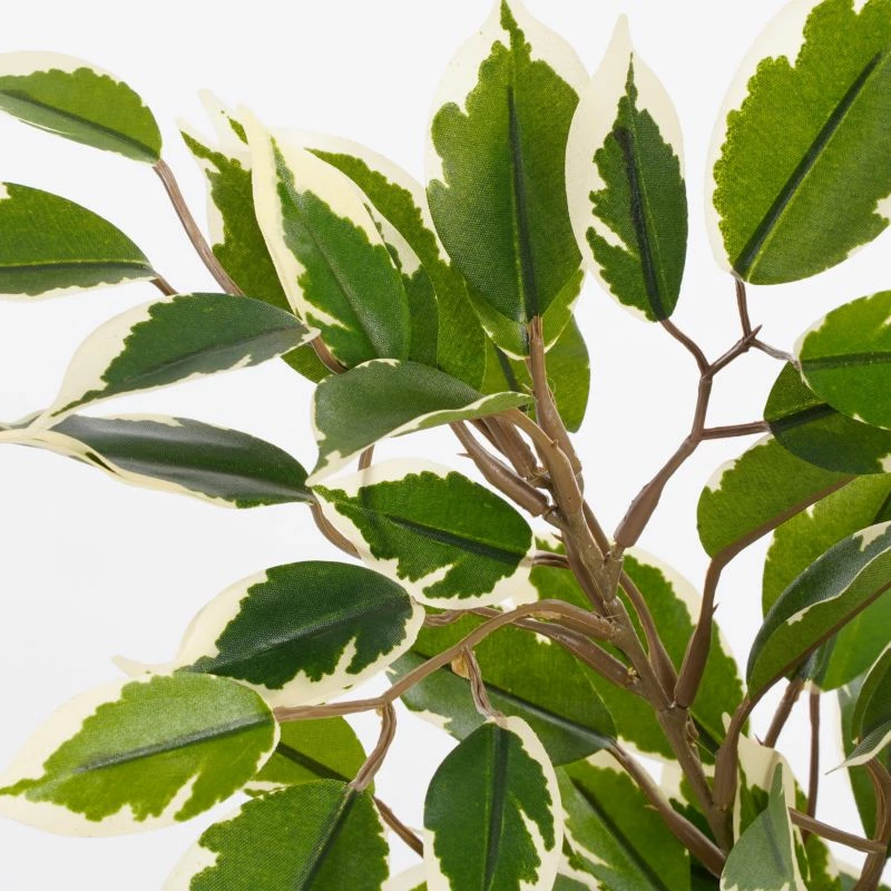 Plante Artificielle Ficus Natasja 5 Plante Artificielle Ficus Natasja – Image 3