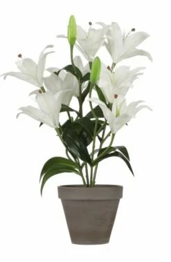 Plante Artificielle Tigerlilien -Home24 Soldes 9bf6e1a687af4c98b6e104dae487c39f.cropped 651 504 1585 2434.processed