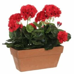 Plante Artificielle Geranien 24 Plante Artificielle Geranien -Home24 Soldes 9d60d883e3ee448b86dfad756b4d6162.cropped 431 892 1962 1973.processed