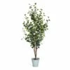 Plante Artificielle Eucalyptus -Home24 Soldes a91747982e8a49e49833756315c81568