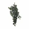 Plante Artificielle Suspendue Fittonia -Home24 Soldes b2260dbc1d454ad4bd4df80f09e6a6cb