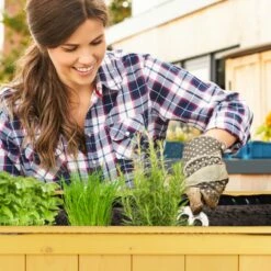 Carré Potager Sur Pied En Bois -Home24 Soldes b3f87875aa3d45d69167f0ddf717511c