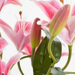 Plante Artificielle Tigerlilien -Home24 Soldes b59821307b7e4e449b968576c07cfe00