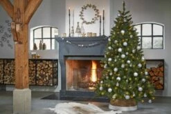 Sapin De Noël Bristlecone 10 Sapin De Noël Bristlecone -Home24 Soldes bb789a05cae941b7b295a56d8811e5e4