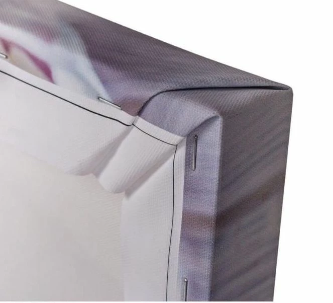 Tableau Mural Perroquets 5 Tableau Mural Perroquets – Image 3