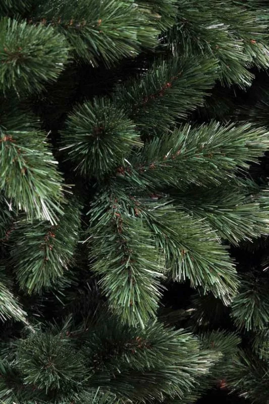 Sapin De Noël Tsuga 4 Sapin De Noël Tsuga – Image 2