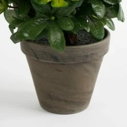Plante Artificielle Azalée -Home24 Soldes ccdb355dac2449cc9666a3a988027883