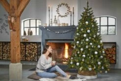 Sapin De Noël Bristlecone 11 Sapin De Noël Bristlecone -Home24 Soldes d12c0763b1de4488829ea8374683426d