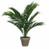 Plante Artificielle Areca-Palme 1 Plante Artificielle Areca-Palme -Home24 Soldes d38e3c35f65e4e59b7258a1f39dde26b