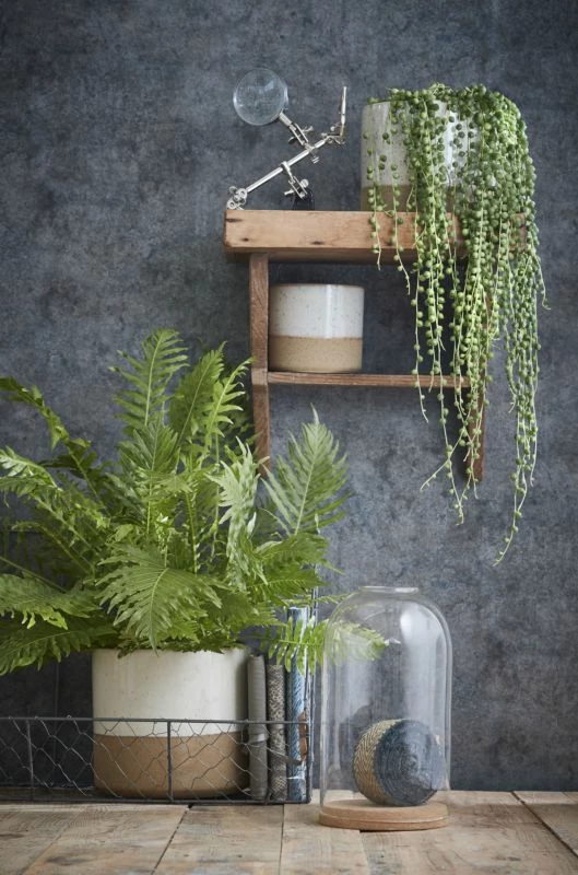 Pot De Fleurs Lago 10 Pot De Fleurs Lago – Image 8