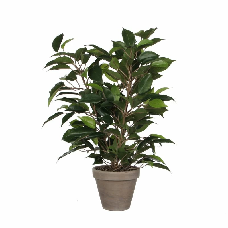 Plante Artificielle Ficus Natasja 7 Plante Artificielle Ficus Natasja – Image 5