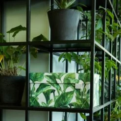 Boite De Rangement Green Leaves -Home24 Soldes d9a687c5535b4ebeade9b9b9175a92e7