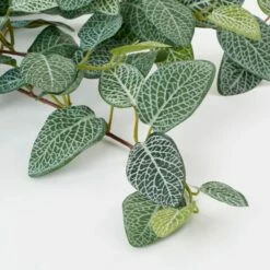 Plante Artificielle Suspendue Fittonia 8 Plante Artificielle Suspendue Fittonia -Home24 Soldes e1a5214c0b1446098e25d444776ae908