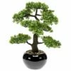 Emerald Mini Bonsaï Ficus Artificiel -Home24 Soldes e5daed371d6f4a5f9de98d353ce085b6