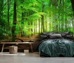 Papier Peint Forêt Nature Paysage 5 Papier Peint Forêt Nature Paysage -Home24 Soldes e718466e6db84c059701c61f3cde0571