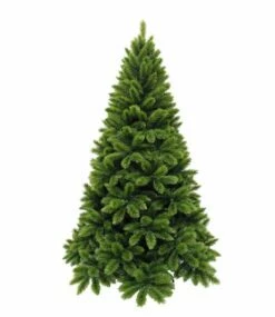 Sapin De Noël Tsuga