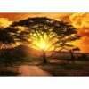 Tableau Mural Savane Au Coucher Du Solei 1 Tableau Mural Savane Au Coucher Du Solei -Home24 Soldes eecbc18fbce945dc8ccb5a5f26eaba3a