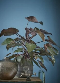 Pot De Fleurs Gabriel -Home24 Soldes f2a8de43aeeb402e914cb186f5190950