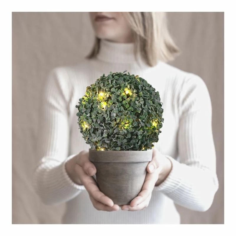 Petite Boule De Buis Effet Givré 4 Petite Boule De Buis Effet Givré – Image 2