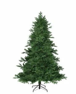 Sapin De Noël Brampton