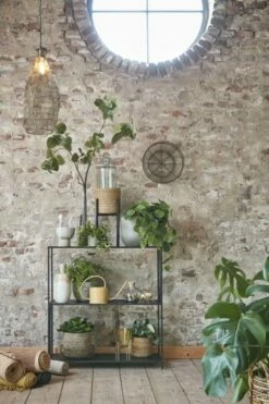 Panier à Plantes Atlantic -Home24 Soldes f666aaafc4a14becb27bf9a5b12ac4e9