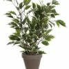 Plante Artificielle Ficus Natasja 2 Plante Artificielle Ficus Natasja -Home24 Soldes f8d9eb8de7f4422498d0a538756c14f6.cropped 216 134 1382 1603.processed