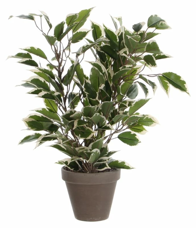 Plante Artificielle Ficus Natasja 3 Plante Artificielle Ficus Natasja
