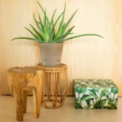 Boite De Rangement Green Leaves -Home24 Soldes fedd00354c3648589615d19f96215695